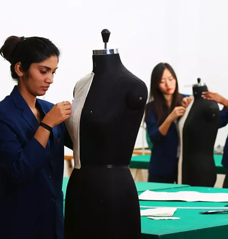 bsc-fashion-overview
